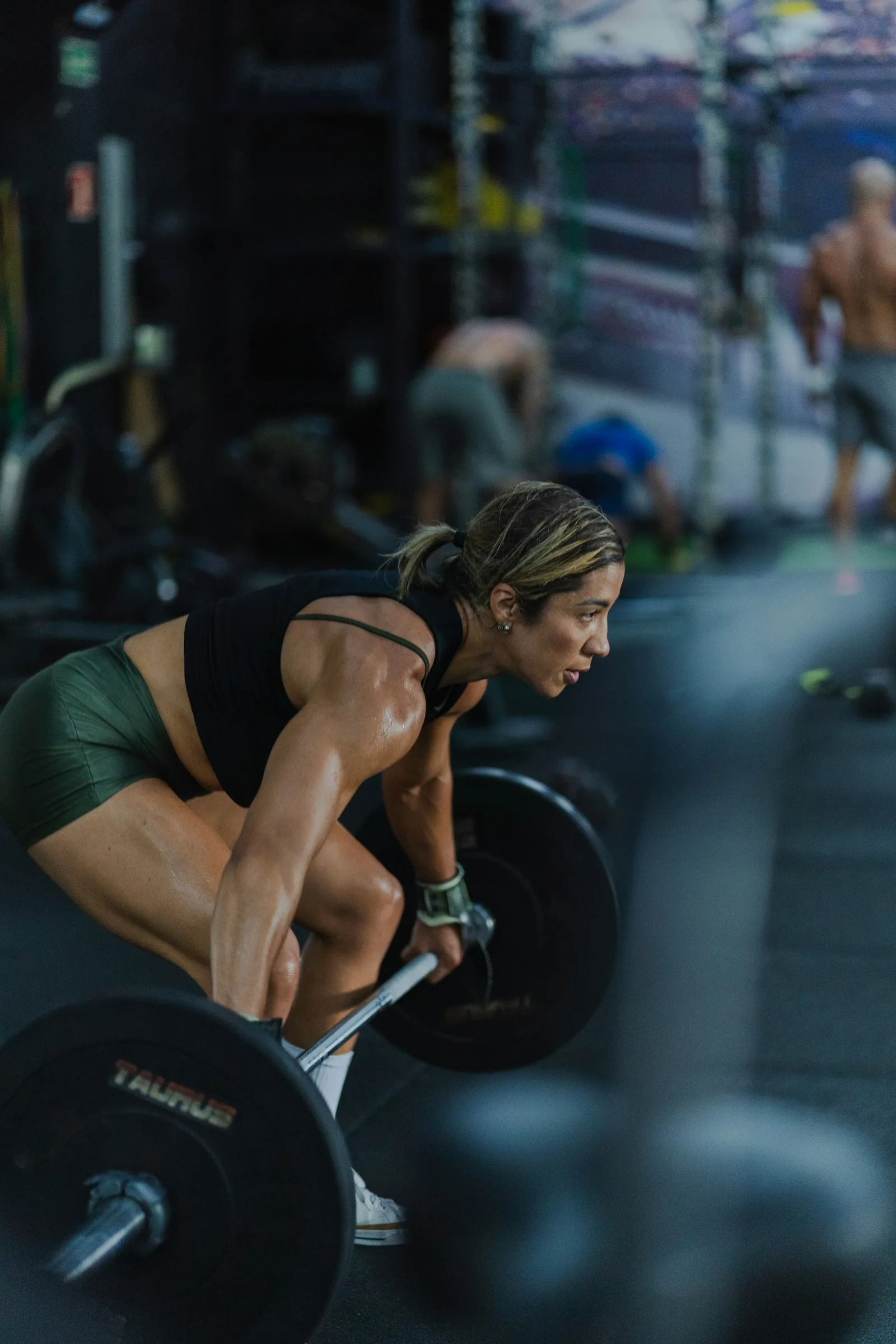Programme PPL — gymDB